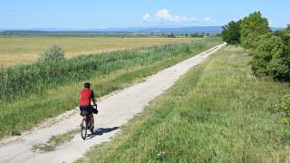 Radfahren im Seewinkel