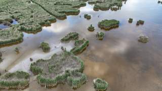 Nationalpark Neusiedler See-Seewinkel