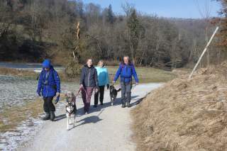 Wandergruppe mit Hunden auf einem Forstweg an einem Wintertag