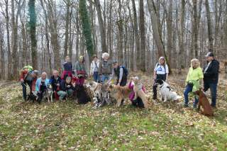 Wandergruppe mit Hunden