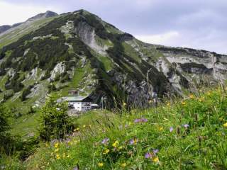 Blühende Bergwiese mit gelben und violetten Blumen im Vordergrund, dahinter ein Berghaus und ein steiler, grün bewachsener Hang unter bewölktem Himmel.