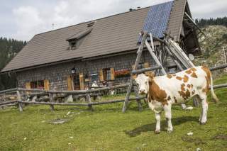 Die Ybbstaler-Hütte.