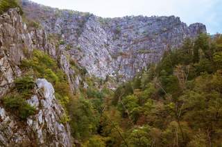 Das Foto zeigt die Hänge des schluchtartigen Bodetals. Das Tal ist mit einem Mischwald bedeckt, aus welchem sich die steilen felsigen Wände erheben. Die Felswände sind teilweise mit Büschen und Gräsern bewachsen.