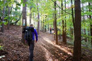 Menschen laufen durch Laubwald