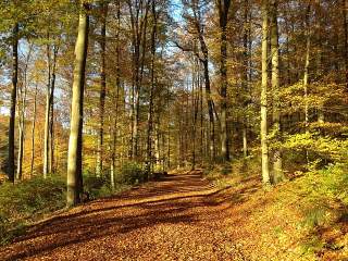 Der Westerwald ist zu jeder Jahreszeit eine Reise wert