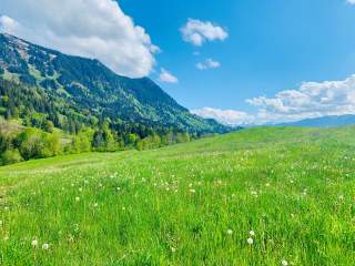 Sonniges Bergpanorama.