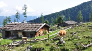 Stubenalm, Foto: Hans Herbig