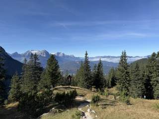 Berglandschaft mit Tannen, einem Weg und einem Wegkreuz unter blauem Himmel, im Hintergrund schneebedeckte Gipfel.
