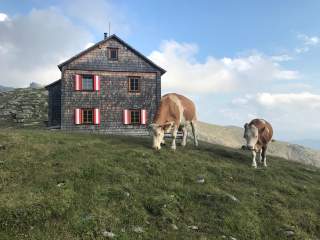 Hütte im Gebirge