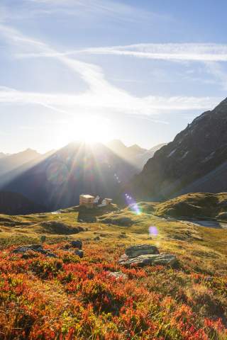 Hütte im Sonnenschein