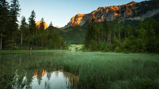 Blick auf einen kleinen See mit viel Schilf und Bergen im Hintergrund.
