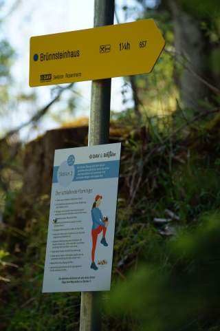 Wegschild vom Wanderweg zum Brünnsteinhaus mit Übung schlafender Flamingo