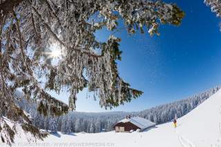 Blick durch einen schneebedeckten Fichtenzweig. Im Hintergrund weiße Winterlandschaft und eine Hütte.