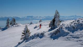 Panoramablick auf den verschneiten Jura.