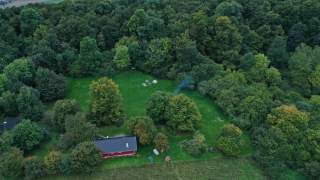 Aerial eines Zeltplatzes zwischen sommergrünen Bäumen mit einer falunrot gestrichenen Hütte.