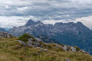 Im Vordergrund eine schon fast vergilbte, hochalpine Wiese. Im Hintergrund sieht man die graue Gipfelketter der Leoganger Steinberge.
