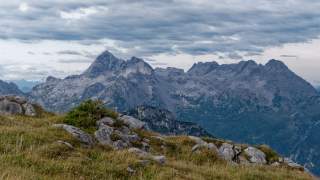 Im Vordergrund eine schon fast vergilbte, hochalpine Wiese. Im Hintergrund sieht man die graue Gipfelketter der Leoganger Steinberge.