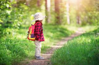 Kind auf Waldweg Kind auf Waldweg