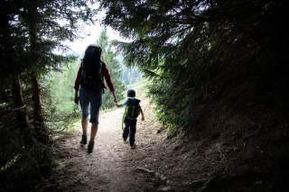 Vater und Sohn wandern auf eine Lichtung hinaus