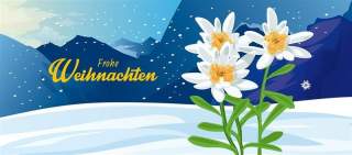 Illustration einer schneebedeckten Winterlandschaft mit weißen Blüten im Vordergrund und dem Schriftzug „Frohe Weihnachten“ in Gelb.