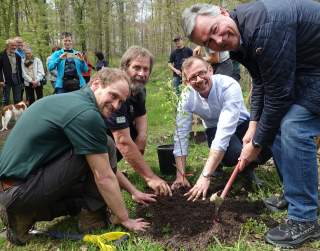 Symbolischer Spatenstich: Vier Männer pflanzen einen jungen Baum und posieren für die Kamera.