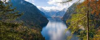 Der Königsee mit Blick von oben, eingebettet in Berge. Im Vordergrund sind auch Bäume zu sehen.