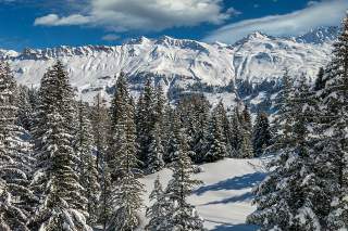 Lenzerheide mit Fichtenwald