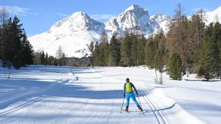 Loipe des Engadin Skimarathons