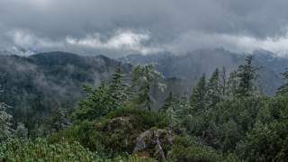Graue Wolken und Schneeflocken überziehen erste Bäume und Latschen mit ein ganz bisschen Schnee.