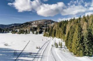 Eine Langlaufloipe führt an einem Wald entlang