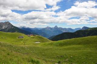 Blick auf eine sehr grüne Wiese, in der weiter im Bildmittelgrund ein paar Almen und Kühe zu sehen sind. Im Hintergrund zeigt sich das Bergpanorama von Paularo mit dem Gipfe Monte Sernio.