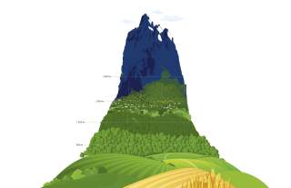 Eine Illustration der Höhenstufen der Alpen, in grün und blau gehalten.