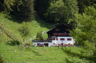 Alpenhaus mit dunklem Dach und roten Fensterläden steht auf einer grünen Wiese, umgeben von Bäumen, davor zwei Autos und Holzstapel.