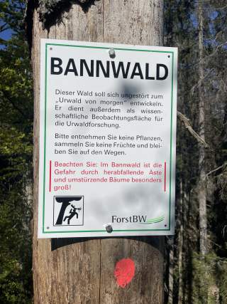 Hinweisschild an einem Baum mit der Aufschrift „Bannwald“. Es informiert über Schutz des Waldes, Verbot von Pflücken und Sammeln sowie erhöhte Gefahr durch herabfallende Äste und umstürzende Bäume.