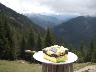 Ein Teller mit einem viereckigen Stück Quark-Mohn-Kuchen mit Streuseln steht auf einem Holzpfahl vor Berglandschaft.