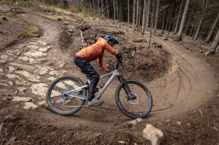 Mountainbiker auf Trail im Wald