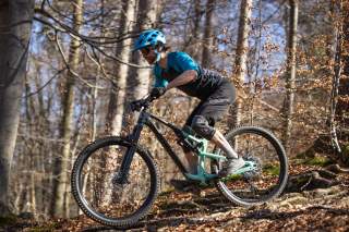 Mountainbiker beim Fahren über Wurzeln