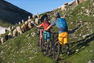 Zwei Mountainbiker*innen schieben ihre MTBs auf einem Trail den Berg hoch. Um sie herum Schafe.