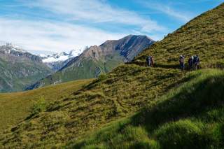 Eine Gruppe von Wanderern läuft auf einem grasbewachsenen Berghang, im Hintergrund sind schneebedeckte Berge unter blauem Himmel zu sehen.