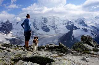 Wanderin und Hund blicken von Gipfel auf Gletscher