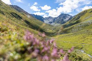 Aussicht in das Platztal bei Sonnenschein.