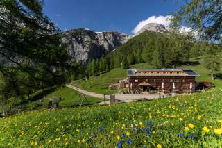 Berghütte auf einer Wiese mit gelben und blauen Blumen, umgeben von grünen Bäumen und hohen Felsen im Hintergrund.