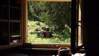 Blick aus dem Fenster ins Grüne. Nina Caprez wäscht sich das Gesicht in einer Tränke.