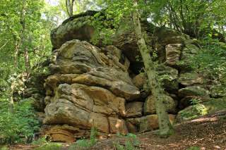 Das Foto zeigt die Felsen der Hollenkammer, ein sandsteinmassiv in einem Kiefernwald im Landkreis Waldeck-Frankenberg in Hessen. Die orange-braun farbigen Felsblöcke sind horizontal stark zerklüftet und ungefähr 15 bis 20 Meter hoch.