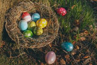 Osternest ausgelegt mit Stroh mit bunten Eiern.