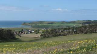 Flache Landschaft die an das Meer grenzt, mittendrin ein paar Häuschen, im Vordergrund Blumenwiese.