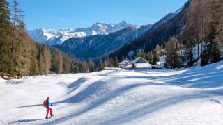 Mensch auf Schneeschuhen in verschneiter Landschaft