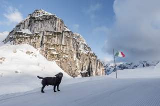 Abendstimmung am Rifugio Celso Gilberti mit Hüttenhund und italienischer Flagge.