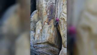 Kletterer bauen menschliche Pyramide am Kletterfelsen