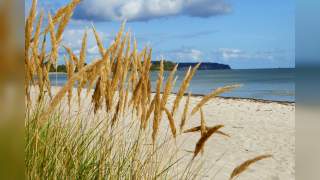 Blick auf einen Strand mit großen Steinen am Ufer.
